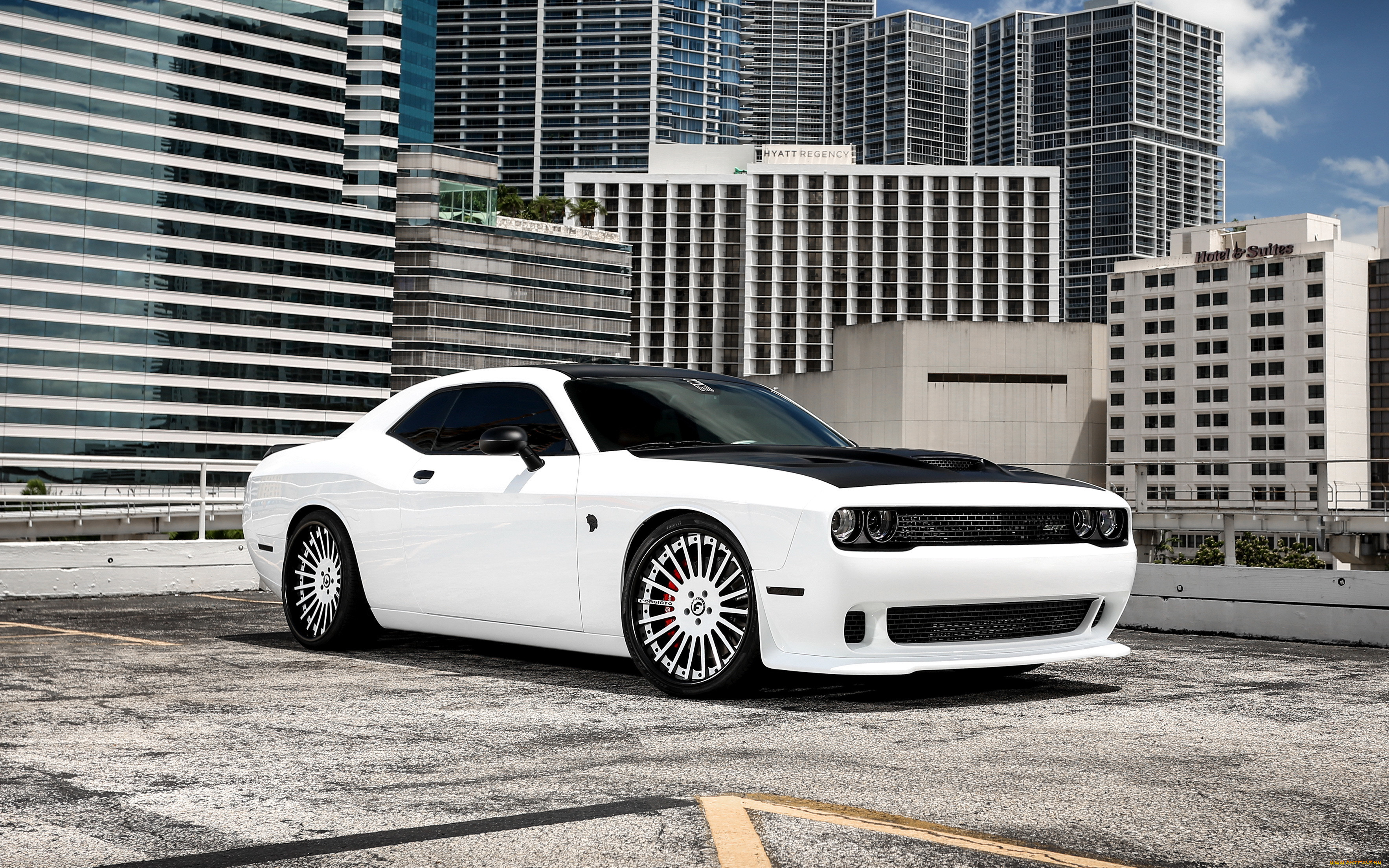 dodge challenger, , dodge, challenger, , , , , , 